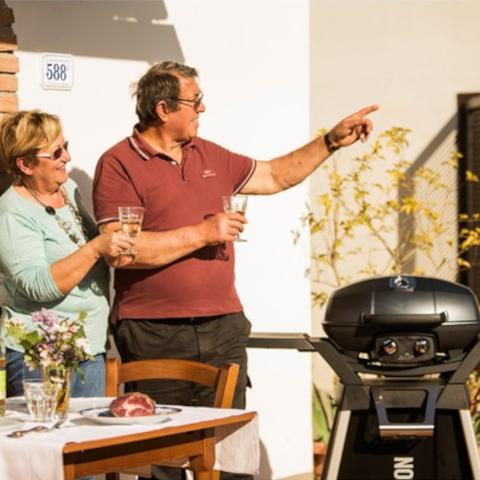 Balcony and Portable Barbecues