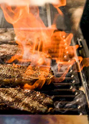 Masterbuilt Portable Charcoal Grill and Smoker Charcoal Barbecues Masterbuilt