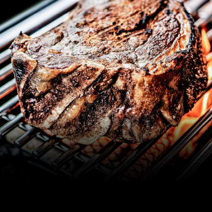 Regal Q 690 Pro IR IQue Gas Barbecues Broil King