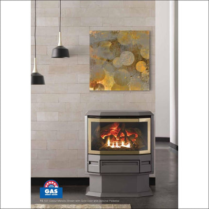 Archer Free Standing Heater | Rear Flue | FS100 Gas Log Fire Archer