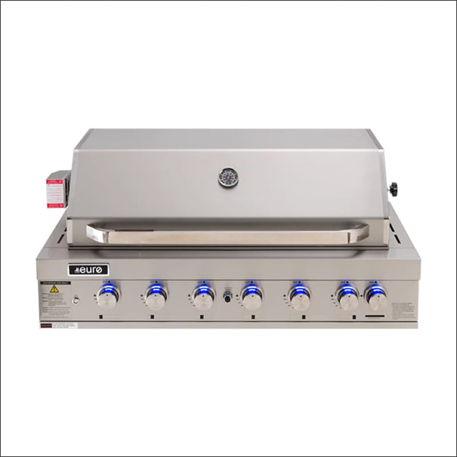 Euro | 6 Burner Built-In BBQ + Hood Backyard Kitchens Euro   