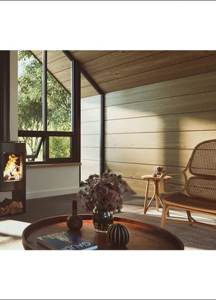 Nectre N60 - Euro - Heats up to 170m² Wood Heater Nectre